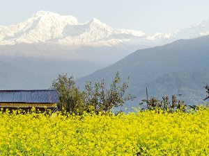 네팔 설산여행…신들이 사는 봉우리, 히말라야에선 사람도 신이 된다