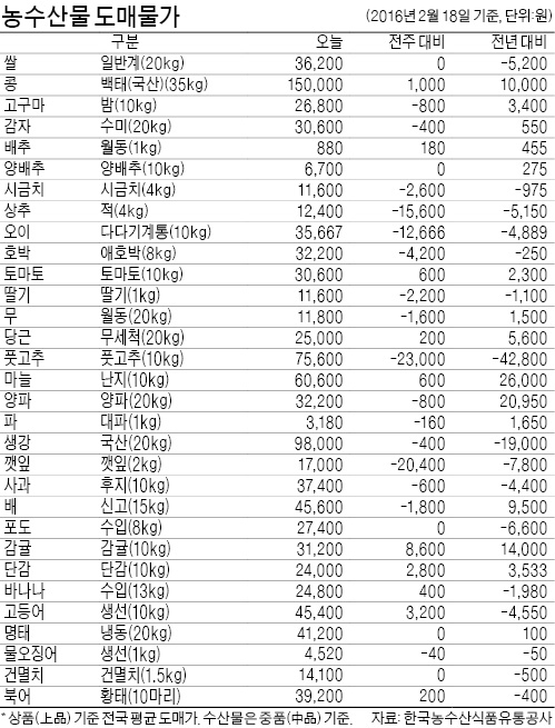 배추 값 한달 새 71% 올라