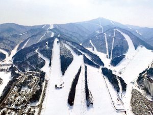 용평리조트서 올림픽 스키 선수처럼…