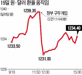 원·달러 환율 급등…정부, 4년 만에 구두개입