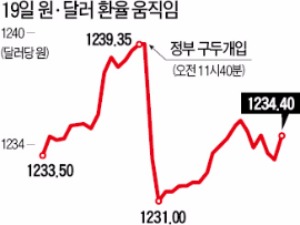 원·달러 환율 급등…정부, 4년 만에 구두개입