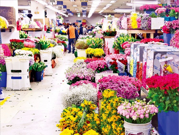 꽃소비가 줄면서 졸업시즌에도 서울 양재동 꽃시장이 썰렁하다. 김병언 기자 misaeon@hankyung.com 