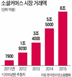 마트·오픈마켓에 '협공'당하는 소셜커머스