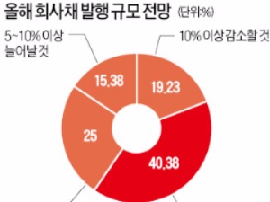  "회사채 발행 작년보다 줄어들 것" 60%