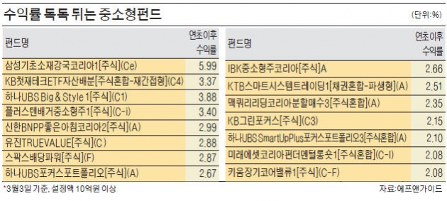 중소형펀드, 변동성 장세서 '선전'