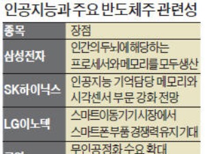  알파고에 반도체 100만개 탑재…한국 반도체 도약 '기폭제' 될 듯