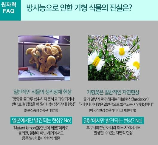 원자력문화재단 블로그 캡처