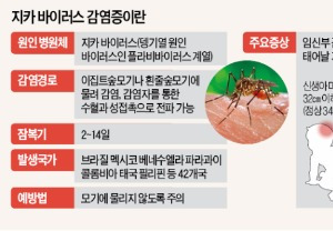 전문가들 "지카바이러스 '국내감염' 가능성도 있어"