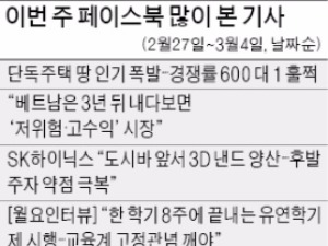 '베트남 투자 대박론'에 네티즌 설왕설래