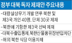 [정부, 대북 독자 제재안 발표] 북한 들렀던 제3국 선박의 국내 입항 금지…해상운송 '봉쇄'