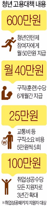 [청년 일자리 대책 '선심성 논란'] 일자리 찾는 모든 청년 월 45만원 준다는 정부