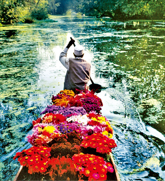 미국 사진작가 스티브 매커리가 인도 카슈미르 지역의 달 호수에서 꽃 상인의 배를 찍은 1996년작 ‘무제’.