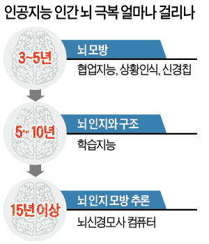 아직은 뇌 메커니즘 모방에 불과
인공지능 활용 ‘가상의 뇌’ 만들땐
베일에 싸인 인간의 뇌 연구 가능