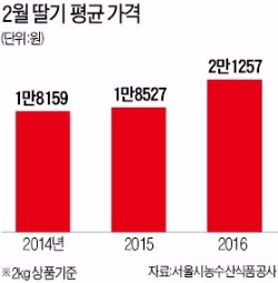 시들지 않는 딸기 인기