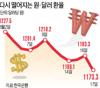 옐런 한마디에 달러값 급락