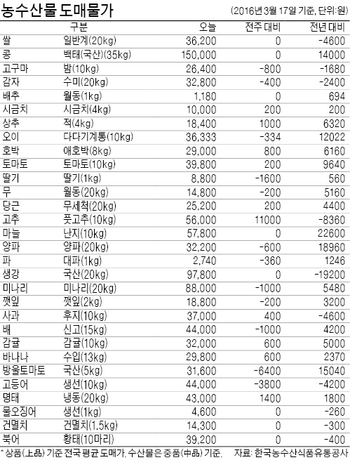 닭고기 값 '뚝뚝'…공급 사상최대