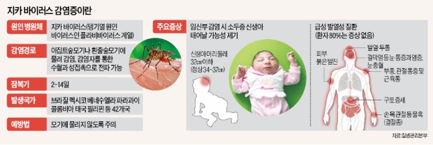한국인 '지카 바이러스' 첫 확진…"공기 감염 가능성은 없어"