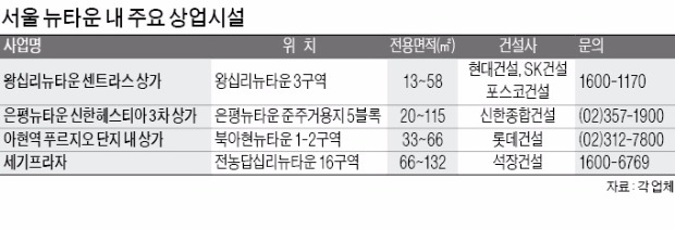 저금리 시대 상가 투자자…서울 뉴타운 노려볼 만