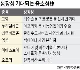 클라우드·한류 콘텐츠·수출증가…유망 중소형주의 3가지 조건