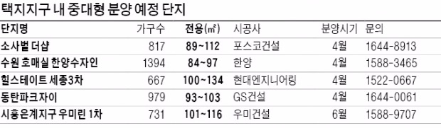 동탄2·세종 등 '중대형 전용 단지' 속속 분양