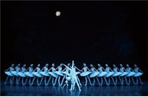 [culture] 지상에서 가장 아름다운 발레