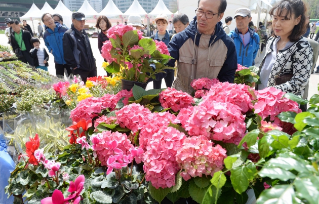  '생산자와 소비자가 직접 만나는 꽃, 나무 시장' 행사