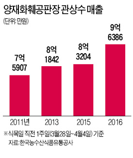 "미세먼지 정화용 커피·이팝나무 잘 팔려요"