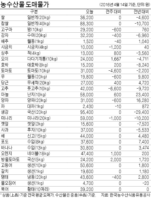 [농수산물 시세] 토마토 가격, 이달에도 강세