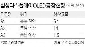 삼성, 내년부터 애플에 아이폰용 OLED 연 1억대 공급