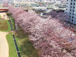  '하늘의 시각'에서 담은 생생한 뉴스, 드론 저널리즘