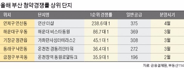 청약열풍 타고…부산 재건축·재개발 시장 뜨겁다