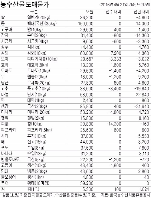 양파값, 보름새 67% 떨어져