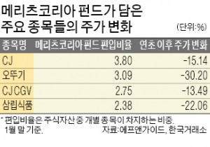 "환매 쏟아지면 큰일"…메리츠 보유종목 피하는 운용사들