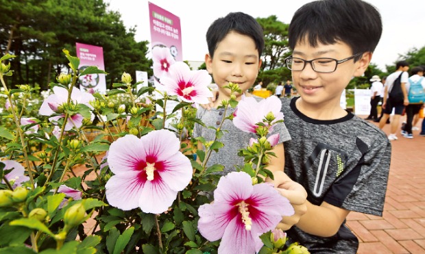 지난해 천안 독립기념관에서 열린 무궁화 축제서 아이들이 무궁화를 관찰하고 있다. 산림청 제공 
