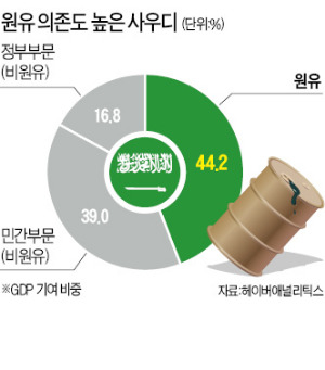 '석유왕국'의 탈석유 선언…31세 사우디왕자의 개혁 성공할까