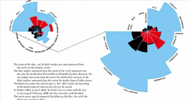 나이팅게일은 크림전쟁(1854~1856)의 군인 사망원인 가운데 감염성 질병으로 인한 사망(하늘색 부분)이 매우 많으며(오른쪽 그래프), 감염을 줄이기 위한 조치를 취한 뒤 사망률이 크게 낮아졌음(왼쪽 그래프)을 보여주기 위해 데이터를 수집·분석해 두 개의 장미꽃 형태 다이어그램을 만들었다.