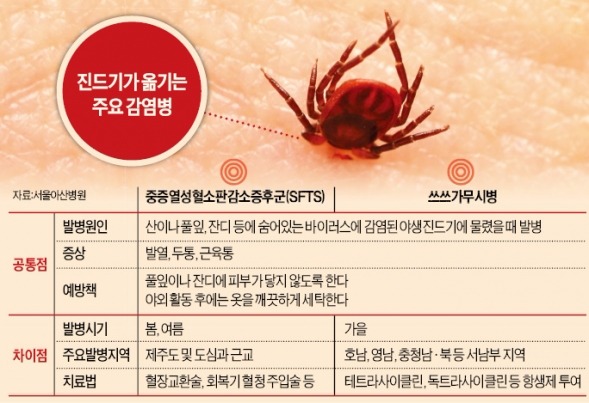 봄 나들이 '야생 진드기' 주의보…감염땐 치사율 최고 30%