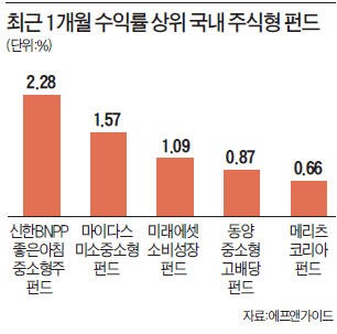 오랜만에 웃는 중소형·성장주 펀드