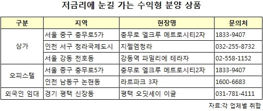 수익형 부동산 '전성 시대'…어디에 투자할까