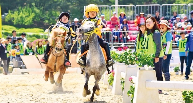 경기 과천시 렛츠런파크서울에서 지난해 어린이날 열린 어린이 승마축제 ‘위니데이’에 참가한 선수들이 트랙을 달리고 있다. 한국마사회는 올해 어린이날 두 번째 위니데이를 개최한다. 한국마사회 제공