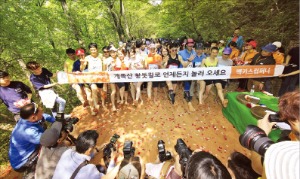 [여행의 향기] 계족산 황톳길 맨발축제…맥키스컴퍼니, 14일 대전서