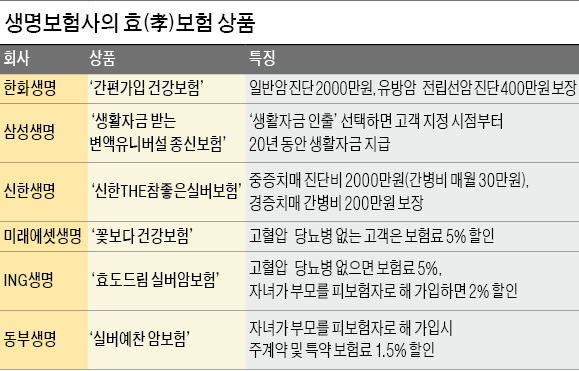 올해 어버이날엔 '효보험'으로 효도해볼까