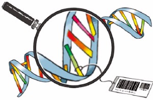 [천자칼럼] 유전자 검사