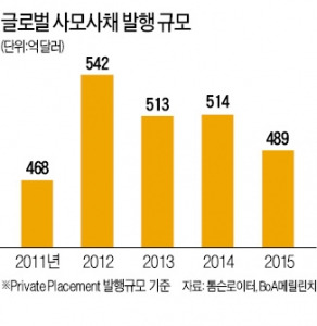 "미국 보험사, 자산 20%는 사모사채에 투자"