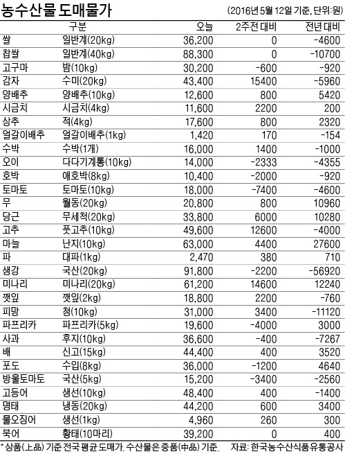 [농수산물 시세] 토마토 가격 2주새 40% 하락