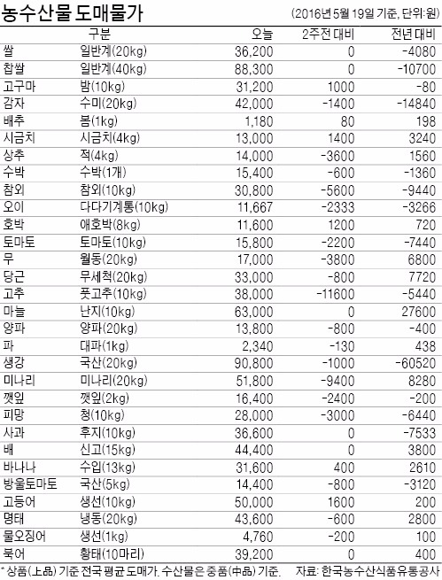 [농수산물 시세] 양파값 안정세…올초 대비 반값