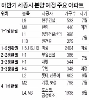 오뉴월에 서리 내린 세종시 부동산