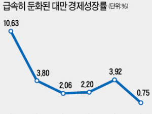 차이잉원 총통은 소수민족·교수 출신 '선거의 여왕'