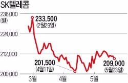 합병심사 지연 '덫'에 빠진 SKT