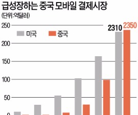 '모바일 페이' 격전지 된 중국